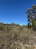 699 Cypress Drive, Mudgee, NSW 2850-Image