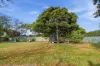 69a Burghley Street, Longford, Tas 7301-Image