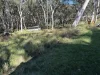 6A Lake Road, Balcolyn, NSW 2264-Image