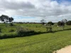 7-11 Katunga St, Jeparit, Vic 3423