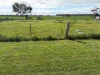 7-11 Katunga St, Jeparit, Vic 3423-Image