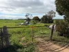 7-11 Katunga St, Jeparit, Vic 3423-Image