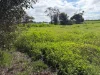 7-11 Katunga St, Jeparit, Vic 3423-Image