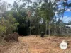 7 Alpine Avenue, Boyne Island, Qld 4680