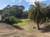 7 Angle Street, Narooma, NSW 2546-Image