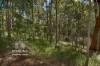 7 Bellinger Close, Wallsend, NSW 2287-Image