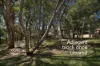 7 Bellinger Close, Wallsend, NSW 2287-Image