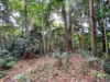 7 Bicton Close, Bingil Bay, Qld 4852-Image