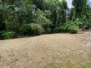 7 Bicton Close, Bingil Bay, Qld 4852-Image