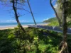 7 Bicton Close, Bingil Bay, Qld 4852-Image