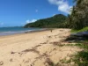 7 Bicton Close, Bingil Bay, Qld 4852-Image