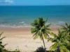 7 Bicton Close, Bingil Bay, Qld 4852-Image
