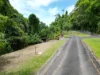 7 Bicton Close, Bingil Bay, Qld 4852-Image