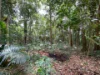 7 Bicton Close, Bingil Bay, Qld 4852-Image
