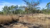 7 Calliungal Road, Baree, Qld 4714-Image