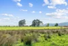 7 Diprose Street, Legerwood, Tas 7263-Image