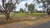 7 Dowsett Street, Narrogin, WA 6312-Image