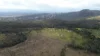 7 Draney Road, Tolga, Qld 4882-Image