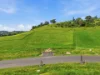 7 Exhibition Court, Picton, NSW 2571-Image
