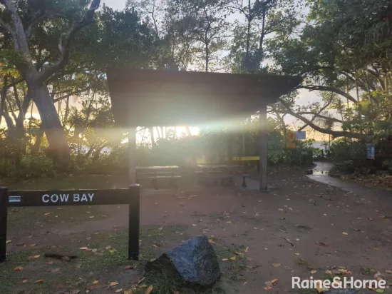 7 Fig Tree Road, Cow Bay, Qld 4873