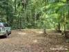 7 Fig Tree Road, Cow Bay, Qld 4873-Image