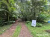 7 Fig Tree Road, Cow Bay, Qld 4873-Image