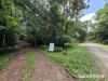 7 Fig Tree Road, Cow Bay, Qld 4873-Image