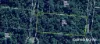 7 Fig Tree Road, Cow Bay, Qld 4873-Image