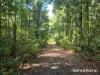 7 Fig Tree Road, Cow Bay, Qld 4873-Image