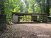 7 Fig Tree Road, Cow Bay, Qld 4873-Image