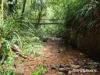 7 Fig Tree Road, Cow Bay, Qld 4873-Image
