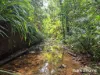 7 Fig Tree Road, Cow Bay, Qld 4873-Image