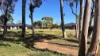 7 Hermann Street, Nuriootpa, SA 5355-Image