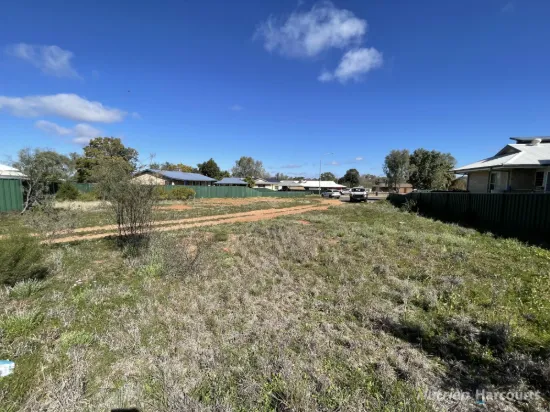 7 Hogan Place, Cobar, NSW 2835