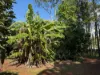 7 Judith Street, Russell Island, Qld 4184-Image