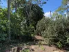 7 Judith Street, Russell Island, Qld 4184-Image