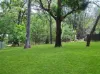 7 Kate Street, Macleay Island, Qld 4184-Image