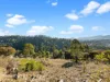 7 Montrivale Rise, Dynnyrne, Tas 7005-Image
