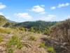 7 Montrivale Rise, Dynnyrne, Tas 7005-Image