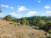 7 Montrivale Rise, Dynnyrne, Tas 7005-Image