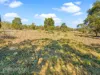 7 Montrivale Rise, Dynnyrne, Tas 7005-Image