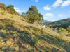 7 Montrivale Rise, Dynnyrne, Tas 7005-Image