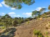 7 Montrivale Rise, Dynnyrne, Tas 7005-Image