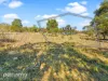 7 Montrivale Rise, Dynnyrne, Tas 7005-Image
