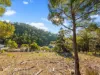 7 Montrivale Rise, Dynnyrne, Tas 7005-Image