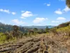 7 Montrivale Rise, Dynnyrne, Tas 7005-Image