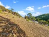 7 Montrivale Rise, Dynnyrne, Tas 7005-Image