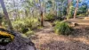 7 Mowday Road, Ocean Beach, WA 6333-Image