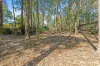 7 Murramarang Crescent, South Durras, NSW 2536-Image