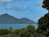 7 Rise Cresc., Mission Beach, Qld 4852-Image